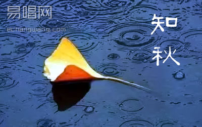 ֪Ϸ ׼