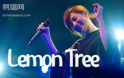 lemon tree ջ׼ ׼