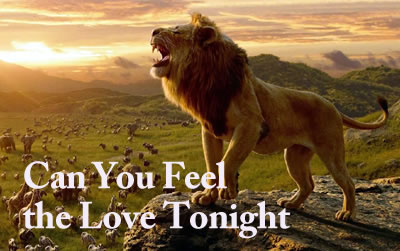 Can You Feel the Love Tonight  ʨ ׼