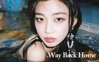 way back homeָ SHAUN׼