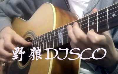 Ұdisco ʯϾָ ׼ѧ