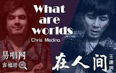 ˼What are words ׼
